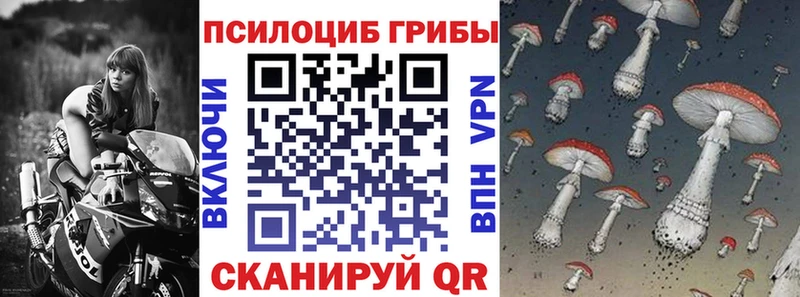 дарнет шоп  Ейск  Псилоцибиновые грибы мухоморы 